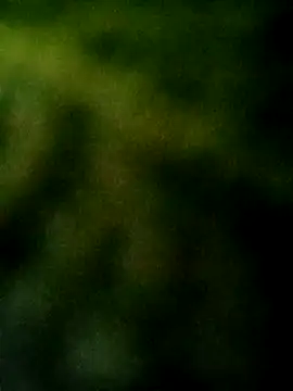 Apeesynka55211 online show from 4, 10, 2025