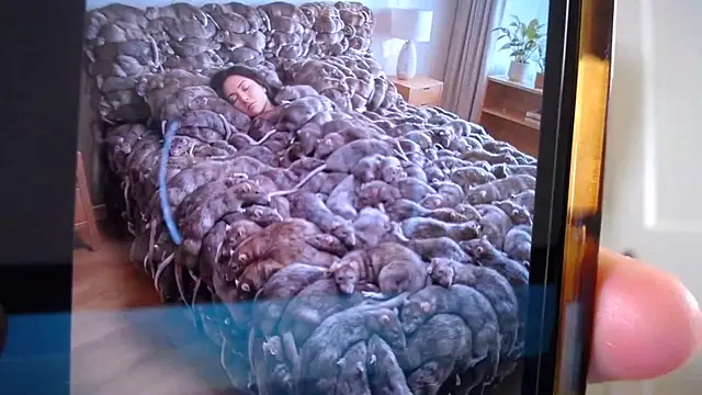 naughtyfox89 online show from 18, 3, 2026