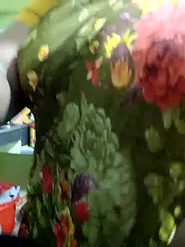 harinisree online show from 19, 11, 2025