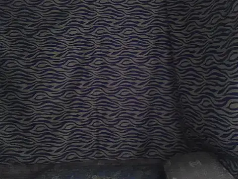 joy cute online show from 7, 2, 2026