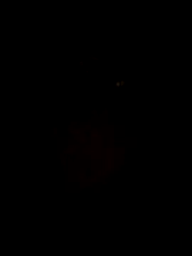 RAJV  online show from 15, 10, 2025