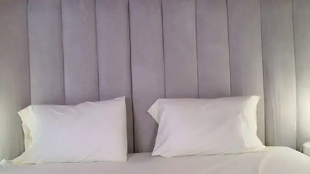 Selene Brownie online show from 8, 10, 2025