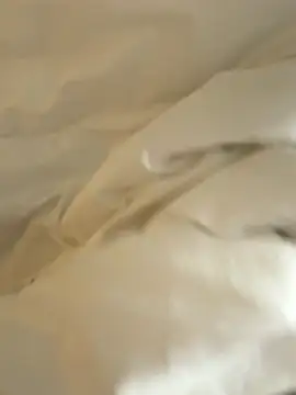 Snapshot of HenryLee1983-cums chatting on 28, 11, 2025 HenryLee1983-cums online show from 28, 11, 2025