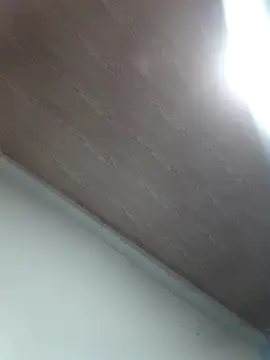 Meloddy   online show from 21, 11, 2025