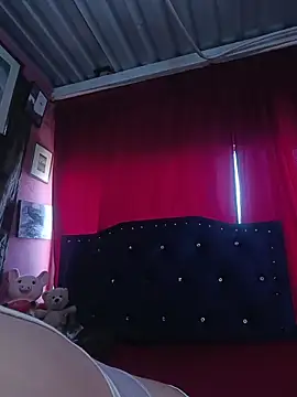 Snapshot of lizethavila chatting on 2, 3, 2026 lizethavila online show from 2, 3, 2026