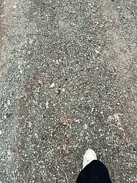 max22palm online show from 19, 3, 2026