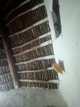 LOVE-VIKA online show from 23, 2, 2026