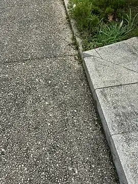 nanaisbackk online show from 16, 2, 2026