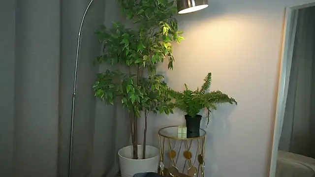 PollyMayer online show from 5, 12, 2025