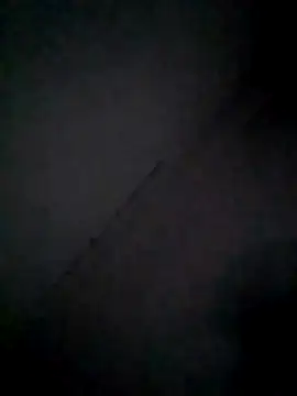 amanWildstalion online show from 10, 11, 2025