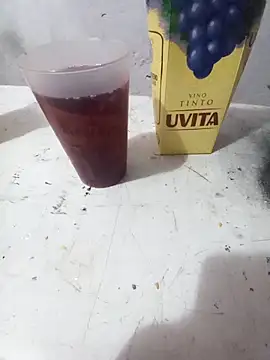 Eltorta214 online show from 4, 4, 2026