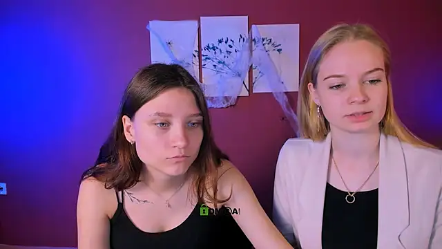 dakota night  online show from 2, 11, 2025