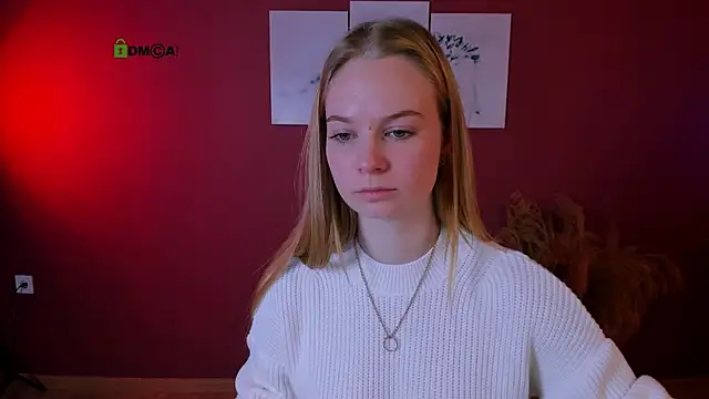 dakota night  online show from 5, 11, 2025