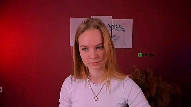 dakota night  online show from 8, 11, 2025