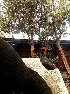 Jade 1-9 online show from 30, 10, 2025