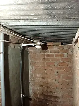 Alex321Flores online show from 7, 3, 2026