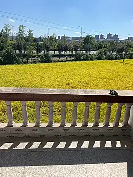 dachui 168 online show from 6, 10, 2025