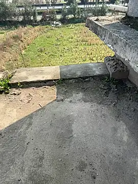 dachui 168 online show from 5, 2, 2026