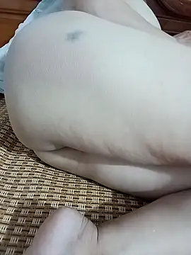 tulip-bae online show from 15, 11, 2025