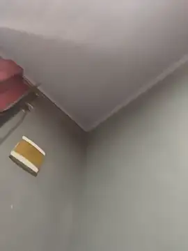 Priihmedeiros online show from 20, 12, 2025