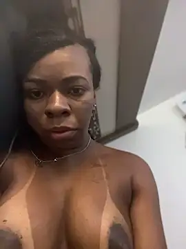 Priihmedeiros online show from 24, 4, 2026