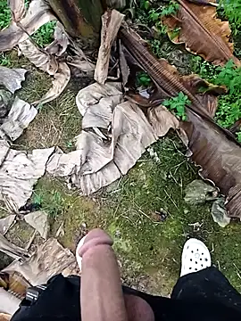 Sikici0734 online show from 11, 11, 2025