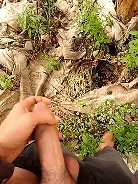 Sikici0734 online show from 14, 1, 2026