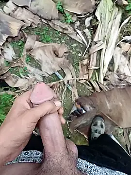 Sikici0734 online show from 13, 11, 2025