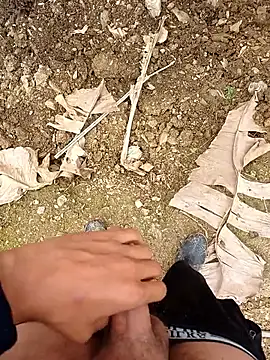 Sikici0734 online show from 1, 4, 2026