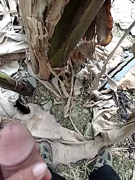 Sikici0734 online show from 4, 10, 2025