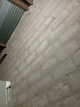 Snapshot of Taliavg chatting on 5, 12, 2025 Taliavg online show from 5, 12, 2025