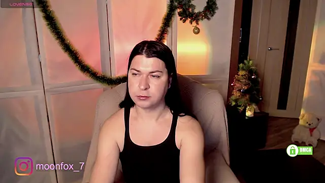 micromouse mo online show from 27, 12, 2024