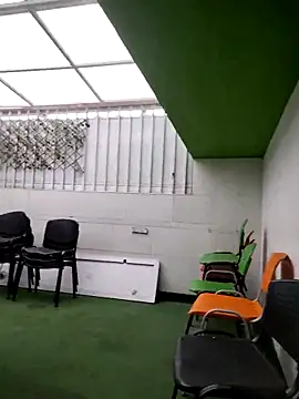 shannon kinne  online show from 14, 11, 2025