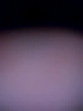 shannon kinne  online show from 4, 11, 2025