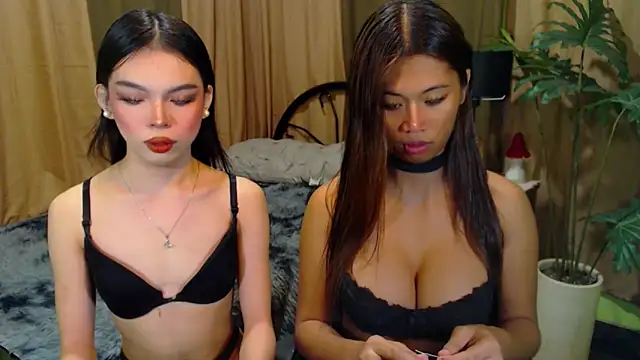 Snapshot of TWINKTRANSSHANEL chatting on 12, 10, 2025 TWINKTRANSSHANEL online show from 12, 10, 2025