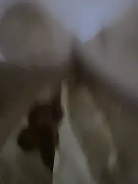 Moro-89 online show from 5, 4, 2026