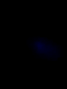 lady and charly online show from 7, 11, 2025