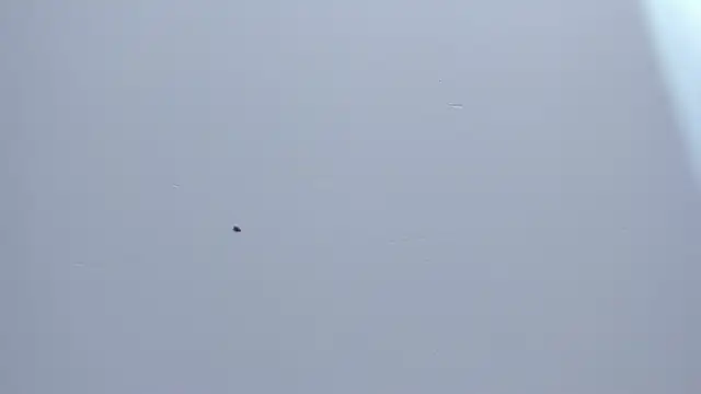 Malory  Jones online show from 9, 1, 2026