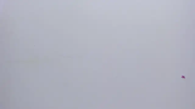 Malory  Jones online show from 13, 1, 2026