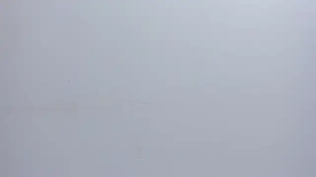 Malory  Jones online show from 1, 12, 2025