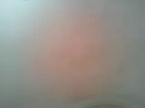 cerdo14562 online show from 9, 7, 2026