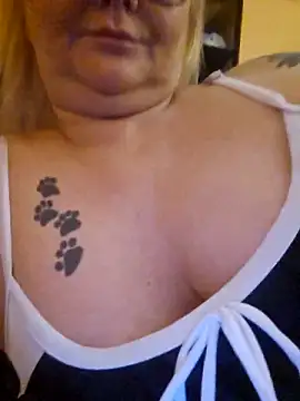 NieMaJazdyBezGwiazdy7883 online show from 7, 11, 2025