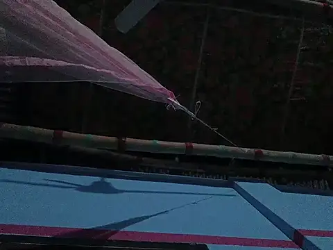 mfrboss1 online show from 22, 12, 2025