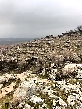 Sert erkek21 ysm online show from 2, 2, 2026