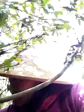 sumaybae online show from 28, 11, 2025