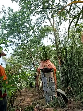 Snapshot of miomio-12 chatting on 15, 4, 2026 miomio-12 online show from 15, 4, 2026