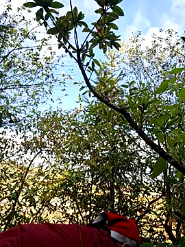 miomio-12 online show from 23, 11, 2025