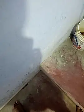 hemcrazy online show from 3, 2, 2026