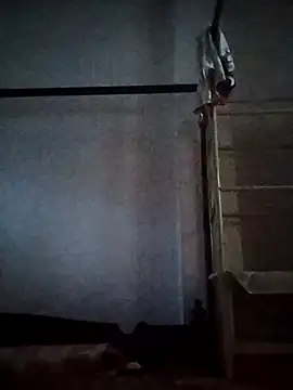 Binny91 online show from 8, 10, 2025