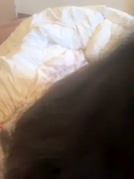 luciamaria01 online show from 25, 10, 2025